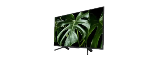 An image of Sony KDL-50W600G 50" Smart TV