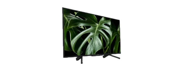 An image of Sony KDL-50W600G 50" Smart TV