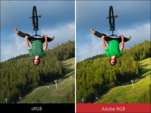 Color saturation comparison between sRGB and Adobe RGB. (Image Source: Viewsonic)